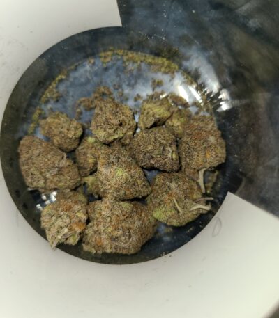 black truffle strain chart, black truffle strain effects, black truffle strain marijuana, blackberry truffle strain, black truffle strain allbud, black truffle strain cannabis, wayofleaf black truffle strain, blackout truffle strain